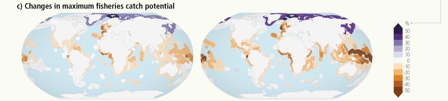 Endring i fiskefangstpotensiale. (Foto: IPCC)