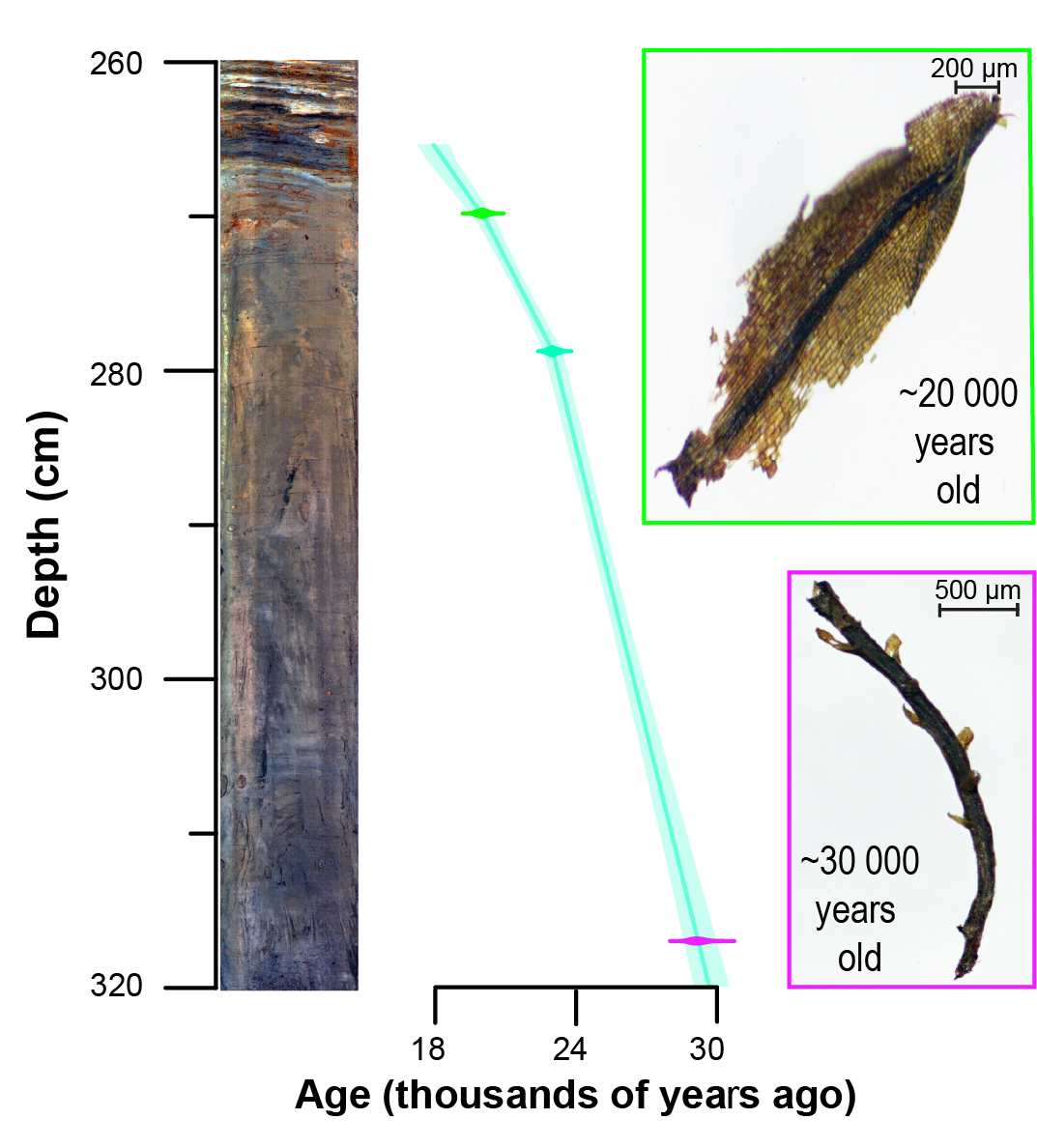 Sediment core